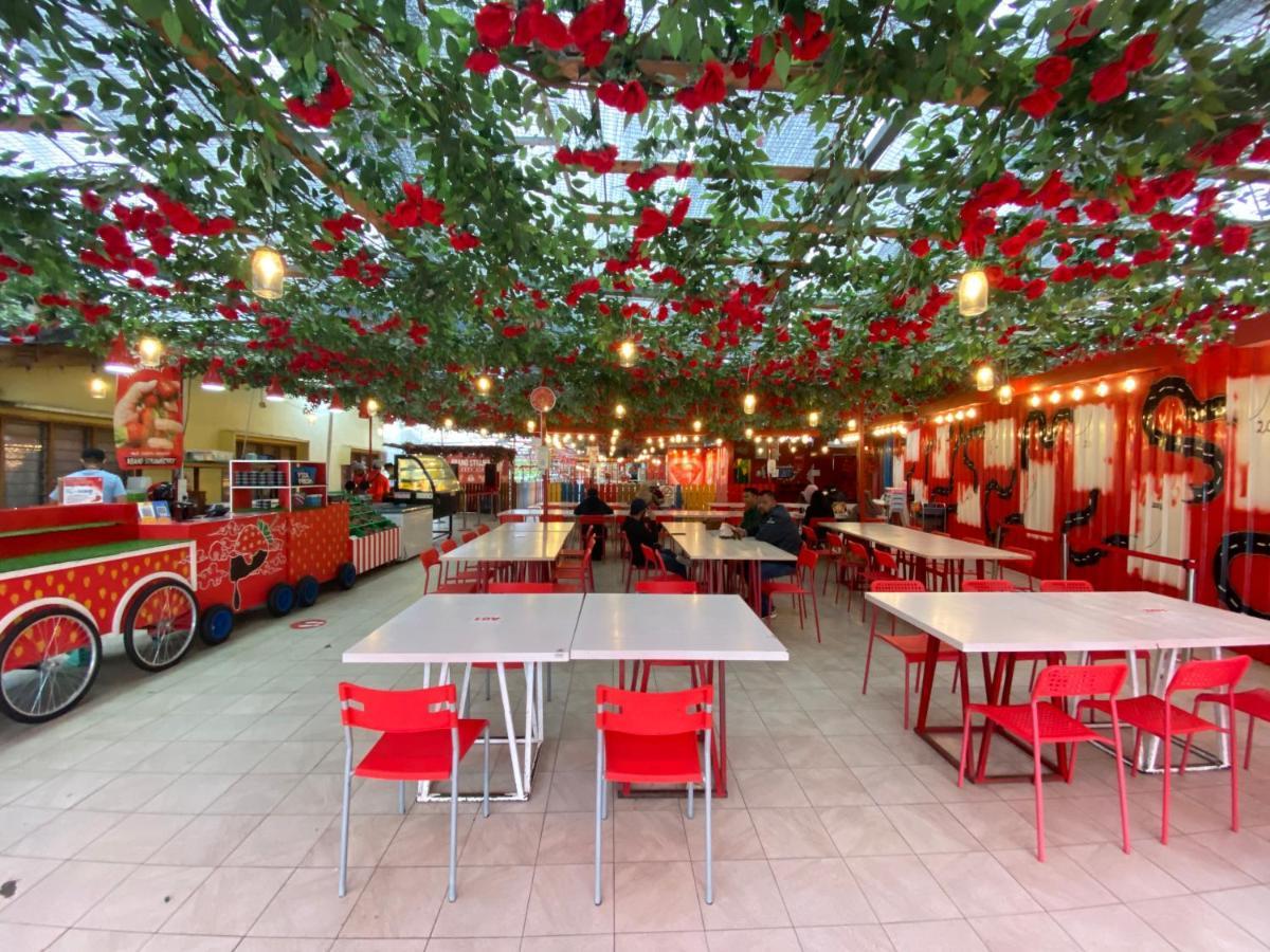 Aiza Homestay Opposite Abang Strawberry Taman Sedia Tanah Rata Exteriér fotografie