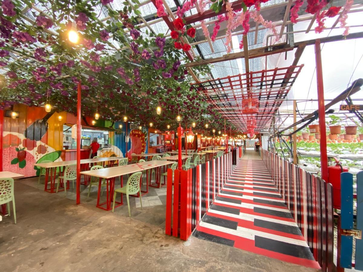 Aiza Homestay Opposite Abang Strawberry Taman Sedia Tanah Rata Exteriér fotografie