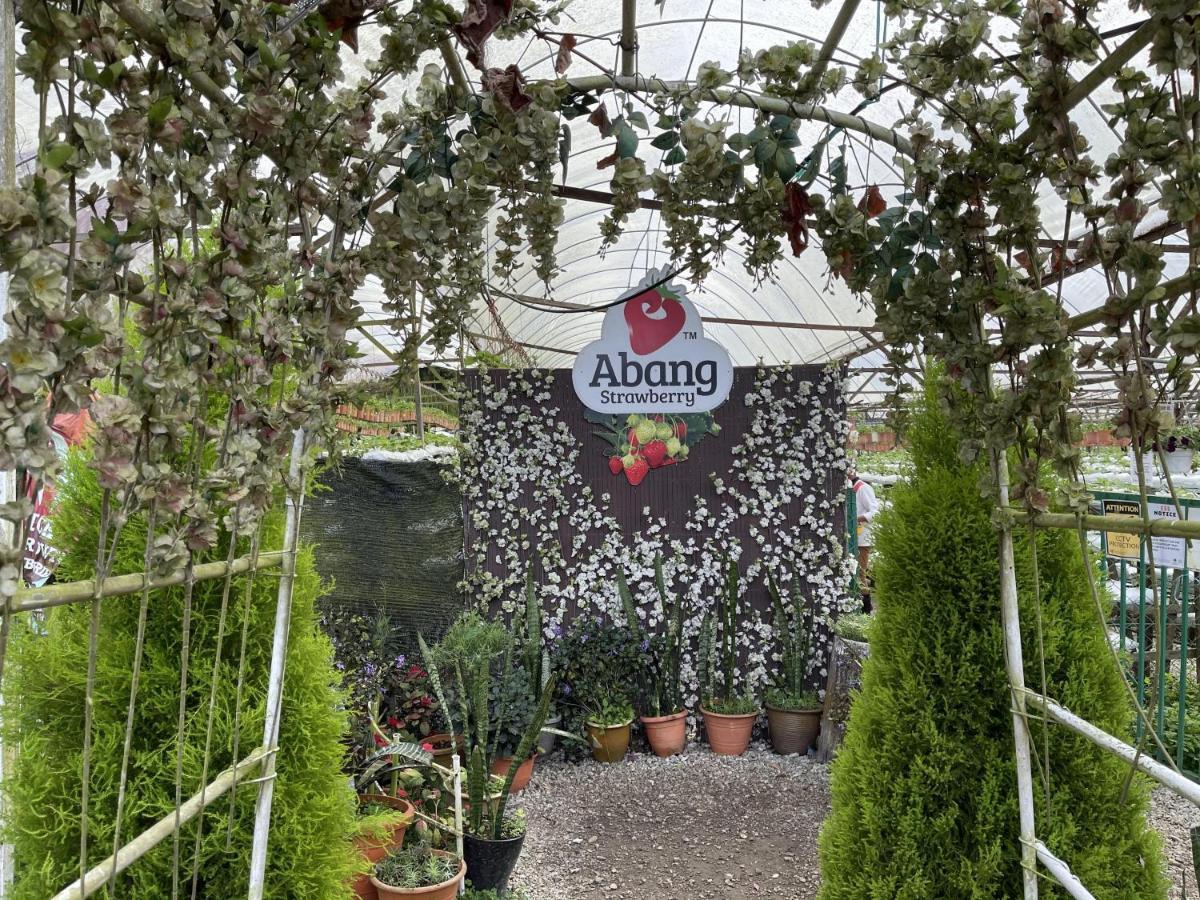 Aiza Homestay Opposite Abang Strawberry Taman Sedia Tanah Rata Exteriér fotografie